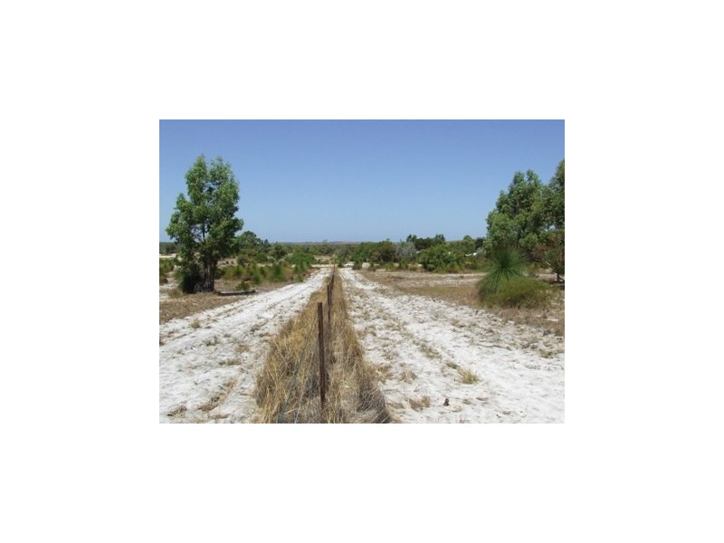 148 Seaflower Way, Gabbadah WA 6041