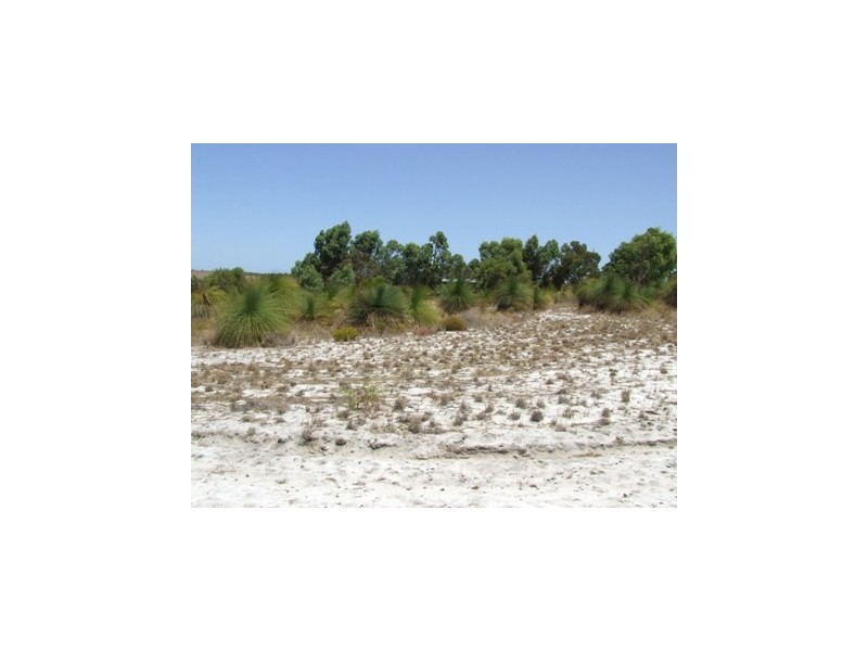 148 Seaflower Way, Gabbadah WA 6041