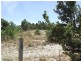 148 Seaflower Way, Gabbadah WA 6041