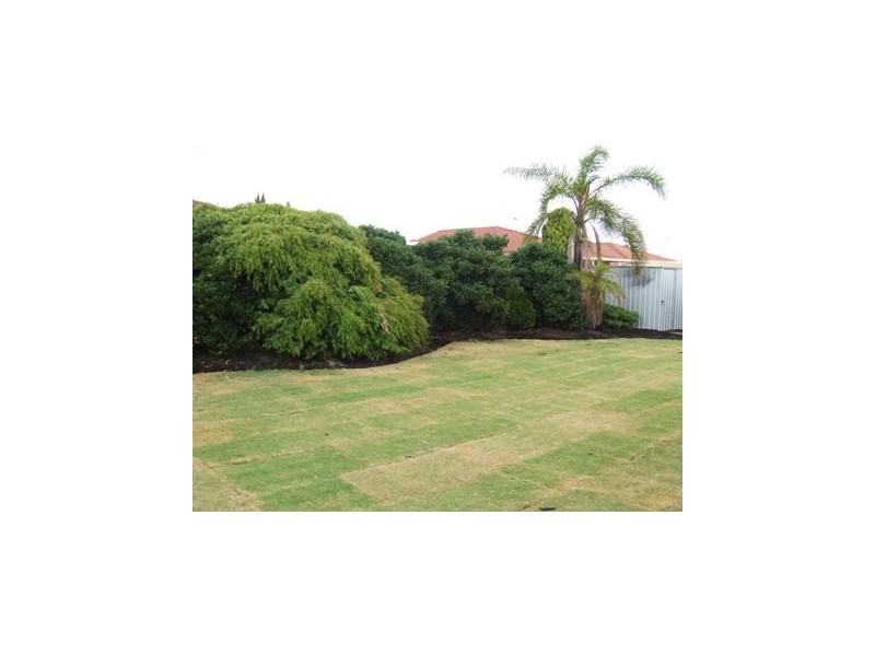 9 Barham Mews, Currambine WA 6028