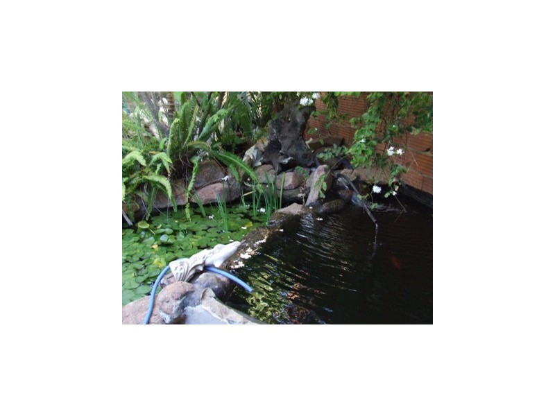 36 San Rosa Road, Wanneroo WA 6065