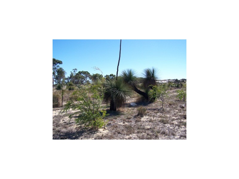 10 Vilalta Way, Sovereign Hill, Gabbadah WA 6041