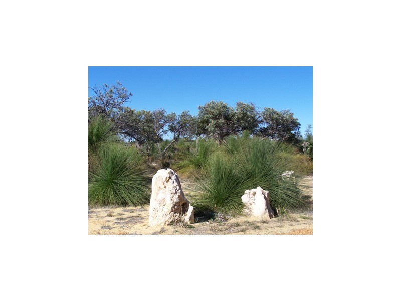 10 Vilalta Way, Sovereign Hill, Gabbadah WA 6041