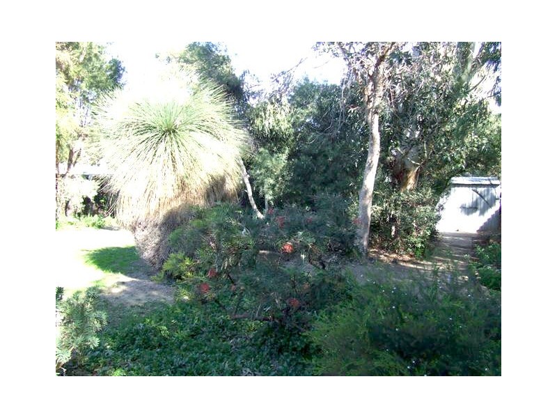 17 Rees Drive, Quinns Rocks WA 6030