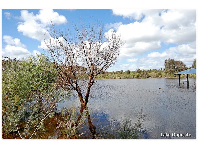 12 Da Vinci Drive, Tapping WA 6065