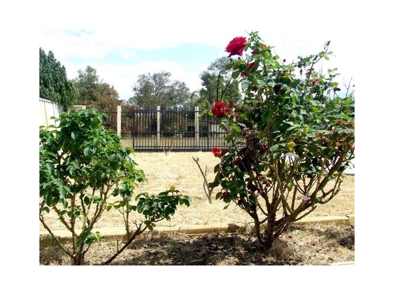 37 Apple Blossom Drive, Mirrabooka WA 6061