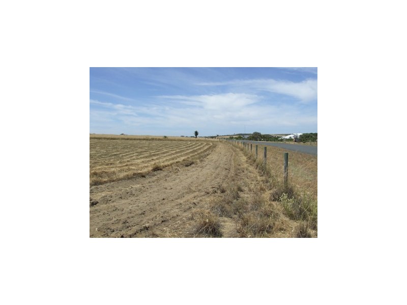 10 Zamia Place, Gabbadah WA 6041