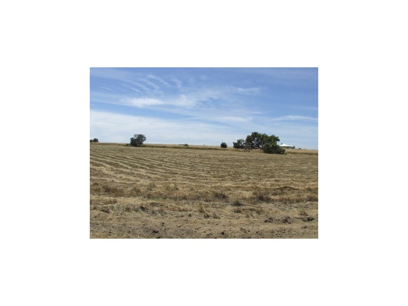 10 Zamia Place, Gabbadah WA 6041