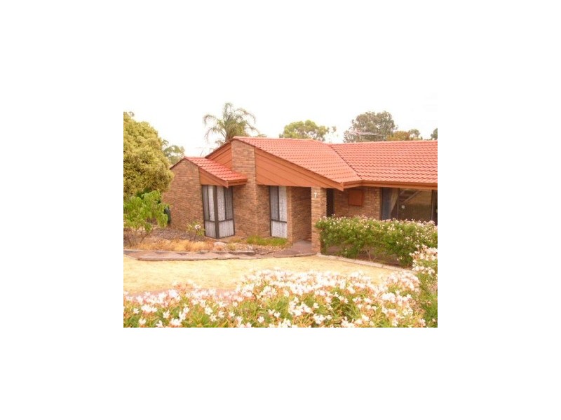 7 Shingle Grove, Edgewater WA 6027