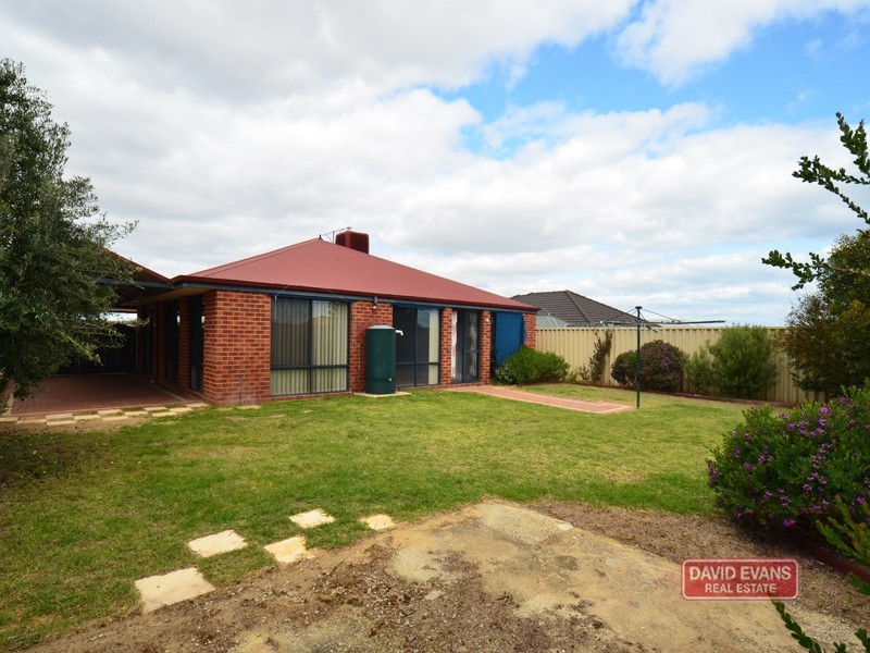 25 Bradman Drive, Butler WA 6036