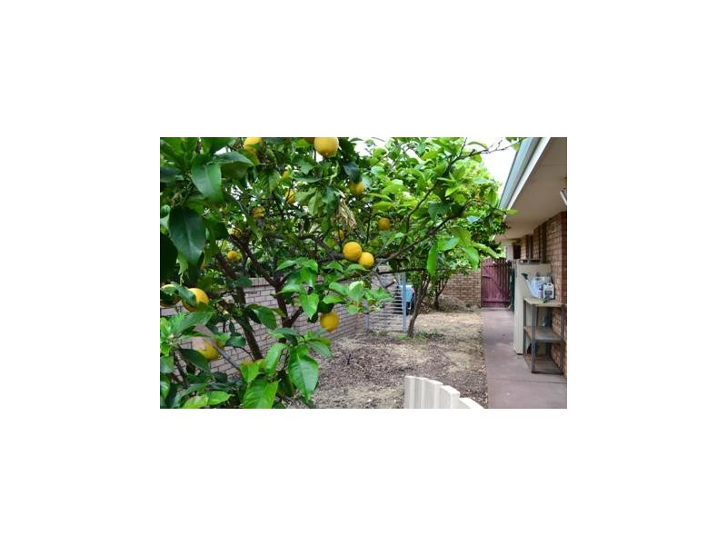 1 Shannon Close, Woodvale WA 6026