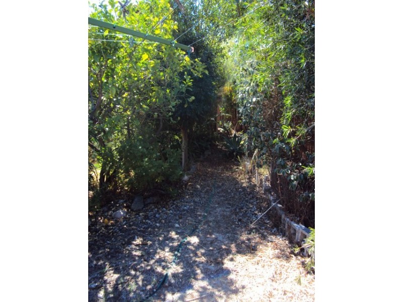 16 Nyunda Drive, Wanneroo WA 6065