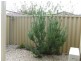 29b Salterforth Road, Butler WA 6036