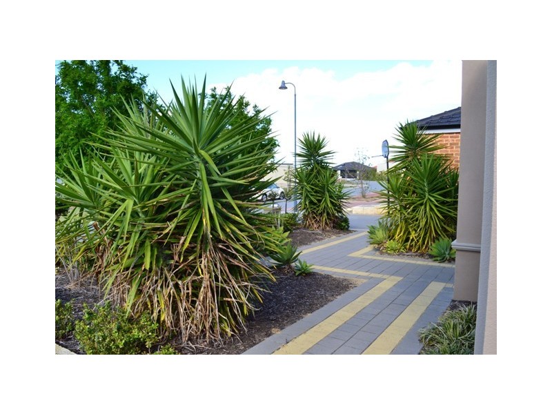 16 Hewlett Turn, Tapping WA 6065