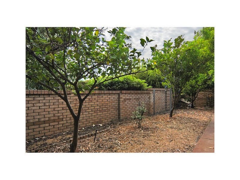 1 Shannon Close, Woodvale WA 6026