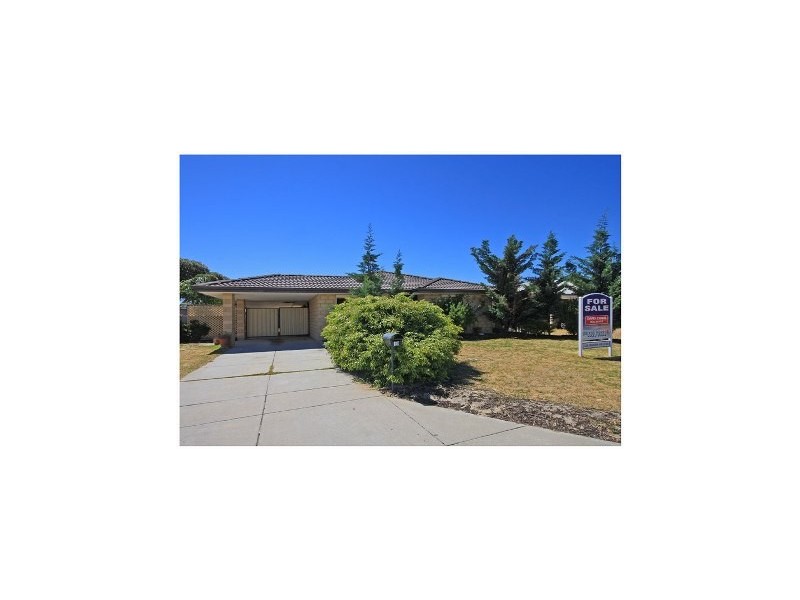 19 Thicket Circuit, Banksia Grove WA 6031