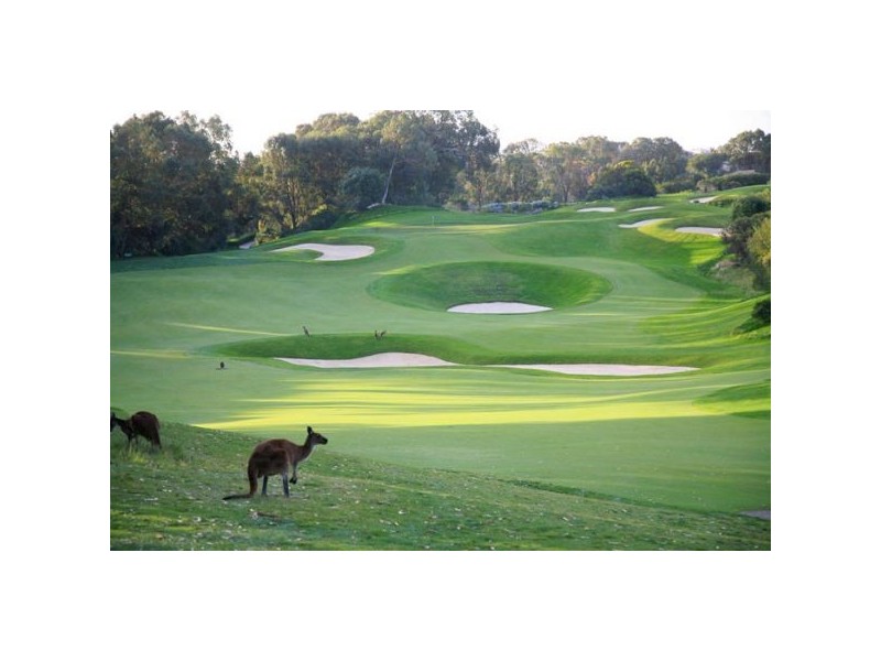 19 Sottogrande Views, Connolly WA 6027