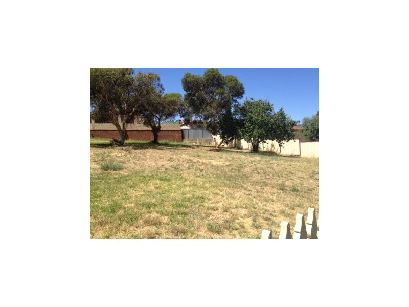 755 Katharine Street, Bellevue WA 6056