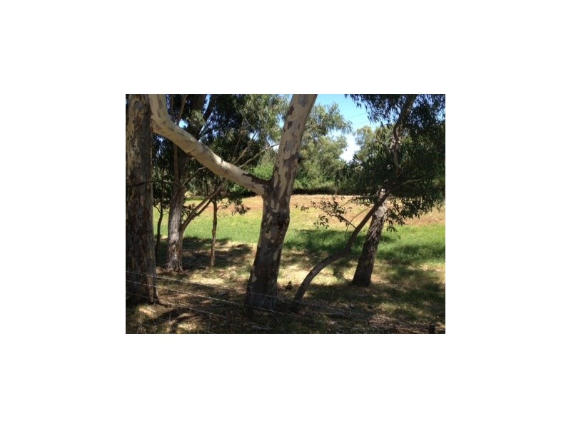 755 Katharine Street, Bellevue WA 6056