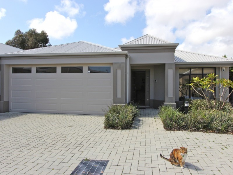 162C HERBERT STREET, Doubleview WA 6018