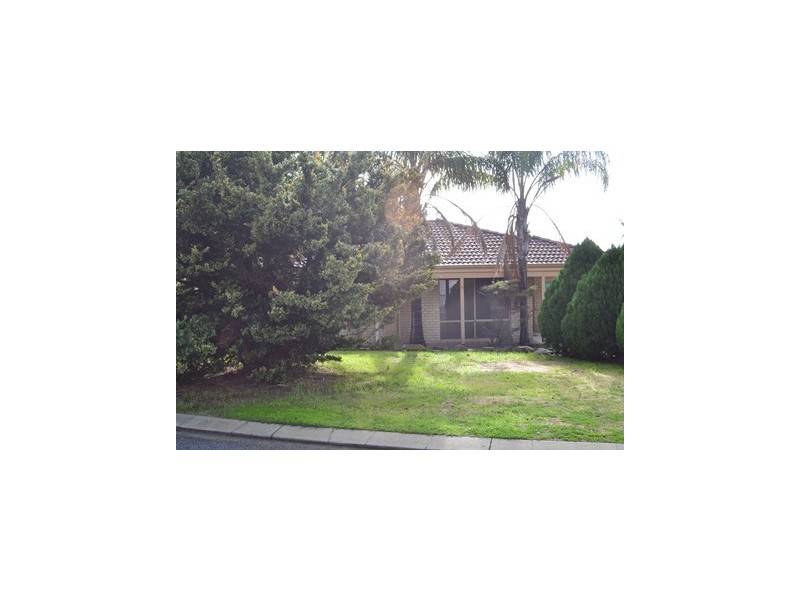 16 Mint Circuit, Banksia Grove WA 6031