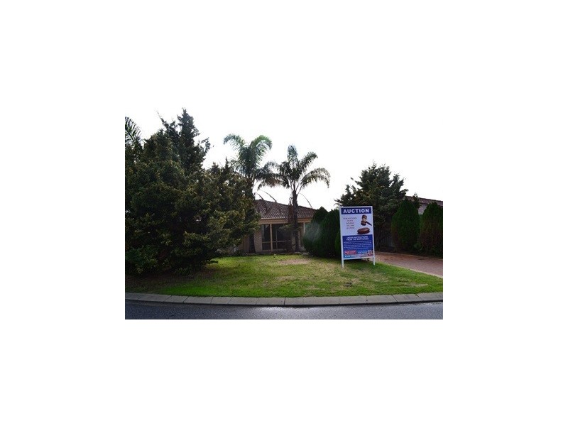 16 Mint Circuit, Banksia Grove WA 6031