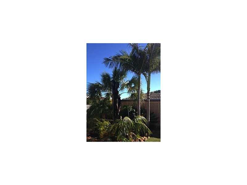 44 Adelaide Circle, Craigie WA 6025