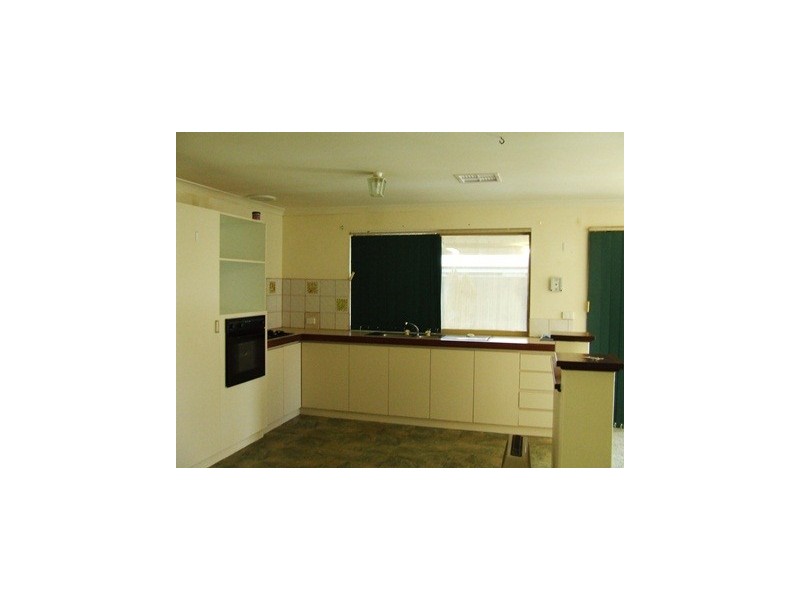 43 Celadon Loop, Banksia Grove WA 6031