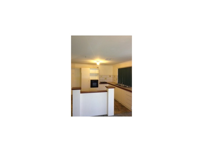 43 Celadon Loop, Banksia Grove WA 6031