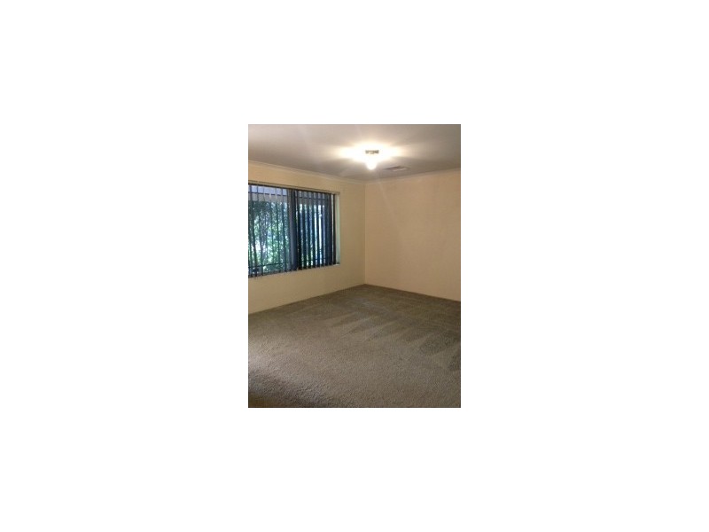 43 Celadon Loop, Banksia Grove WA 6031