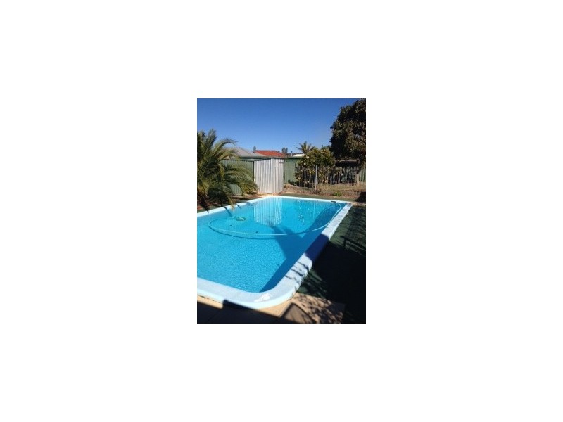 43 Celadon Loop, Banksia Grove WA 6031