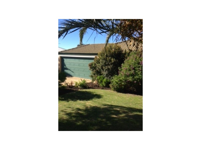 43 Celadon Loop, Banksia Grove WA 6031