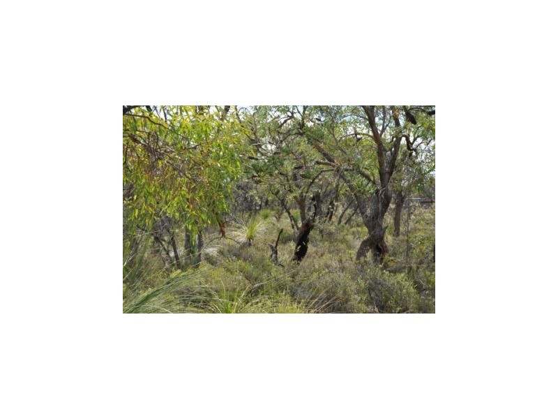 LOT 895 ROSEWOOD DRIVE, Chittering WA 6084