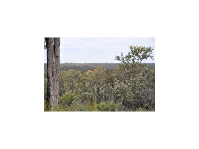 LOT 895 ROSEWOOD DRIVE, Chittering WA 6084