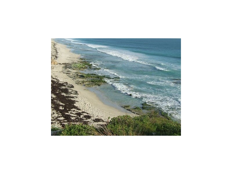 26 Ocean Falls Blvd, Mindarie WA 6030