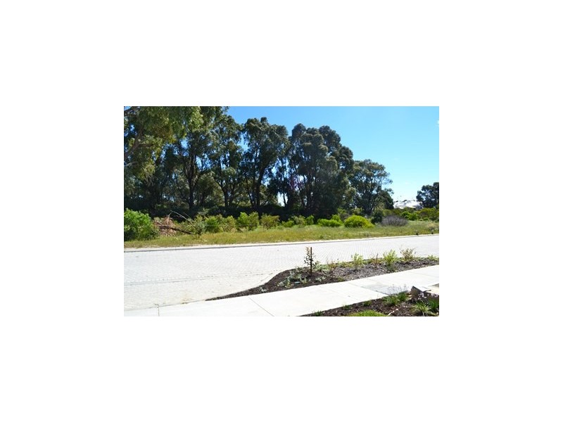 19 Granite Place, Yanchep WA 6035