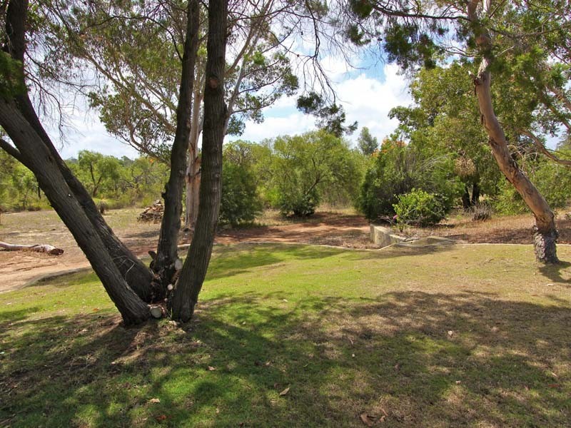 74 WOOLLY BUSH LOOP, Woodridge WA 6041