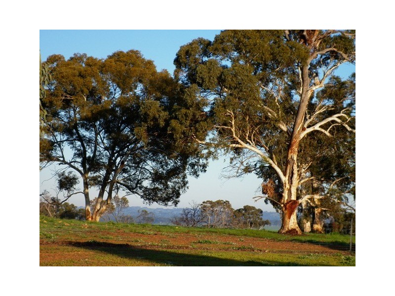 402 Sheahan Road, Beverley WA 6304