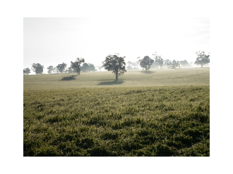 402 Sheahan Road, Beverley WA 6304