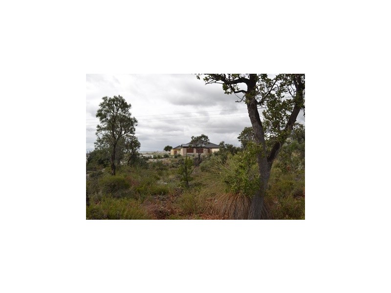 24 Haslam Street, Muchea WA 6501