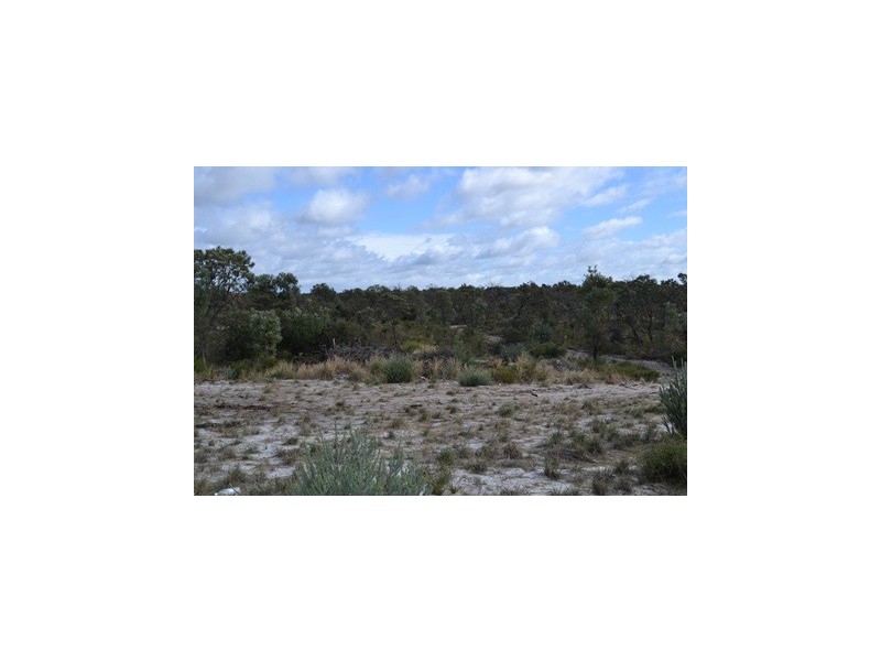 24 Haslam Street, Muchea WA 6501