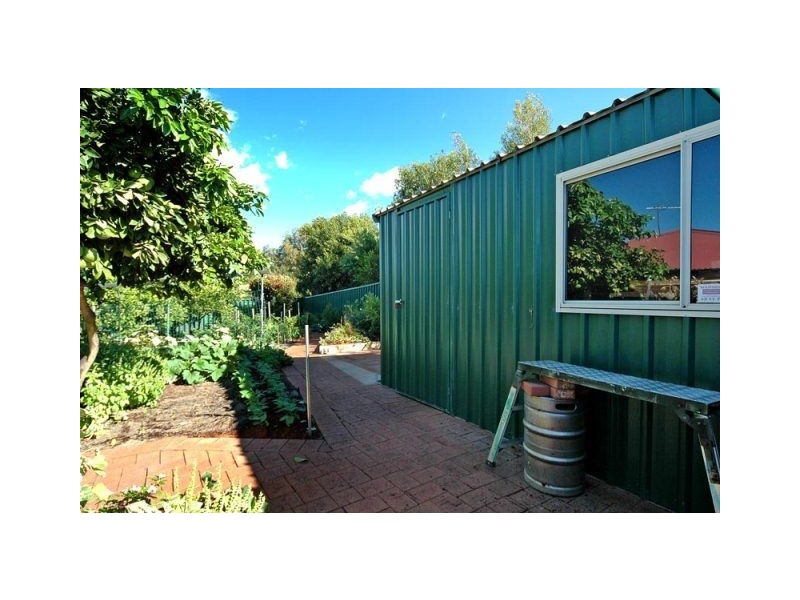 55 MONALTRIE LOOP, Carramar WA 6031