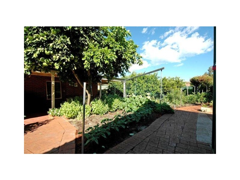 55 MONALTRIE LOOP, Carramar WA 6031