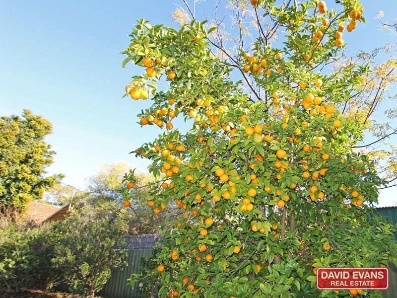 103 Milne Street, Bayswater WA 6053