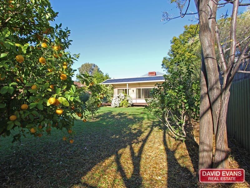 103 Milne Street, Bayswater WA 6053