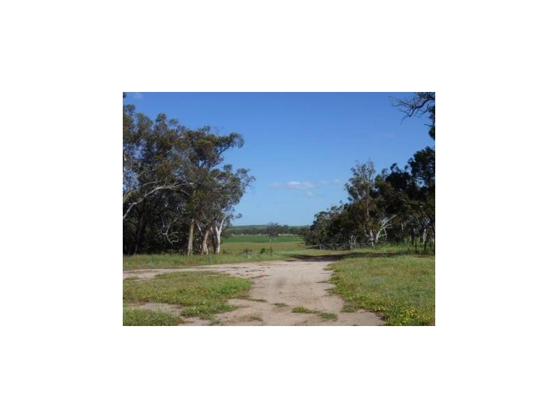 386 Sheahan Road, Beverley WA 6304