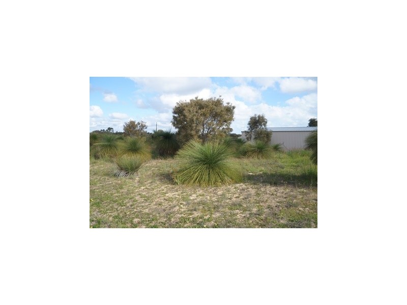 86 Darch Trail, Gabbadah WA 6041