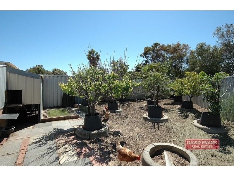 10 Mousehole Crescent, Yanchep WA 6035