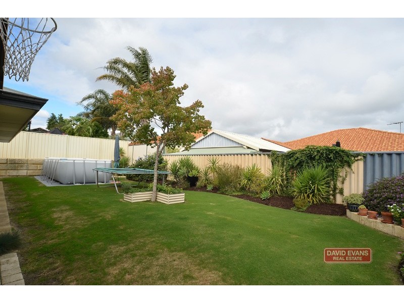 43 Chartwell Bend, Hocking WA 6065