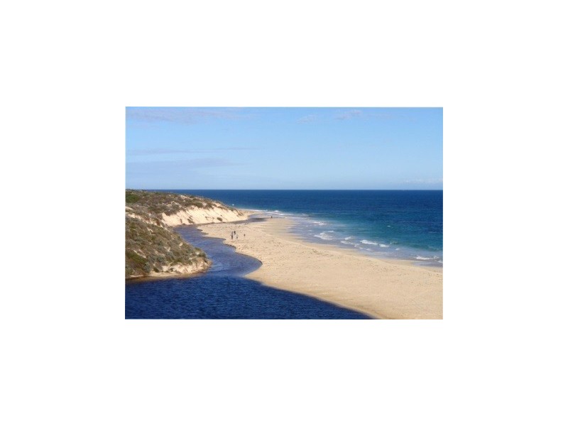 39 seaflower Way, Gabbadah WA 6041